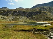 39 Lago 'piccolo' ricoperto per buona parte da erbe acquatiche